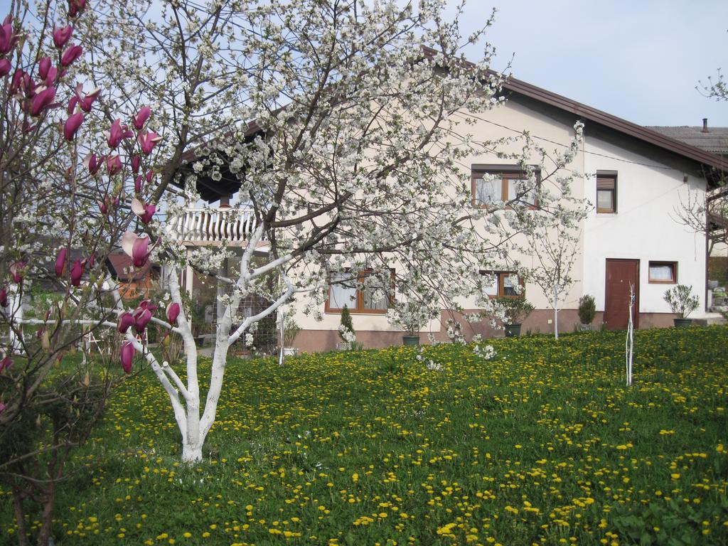 Apartment Yasica Izacic Zewnętrze zdjęcie